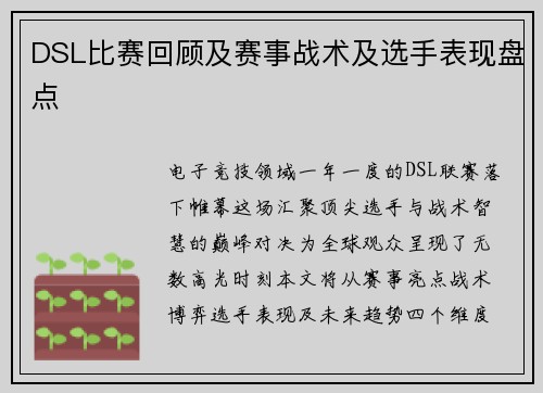 DSL比赛回顾及赛事战术及选手表现盘点